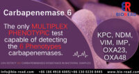 Carbapenemase 6 Rapid Test Cassette(KPC/NDM/VIM/IMP/OXA23/OXA48)