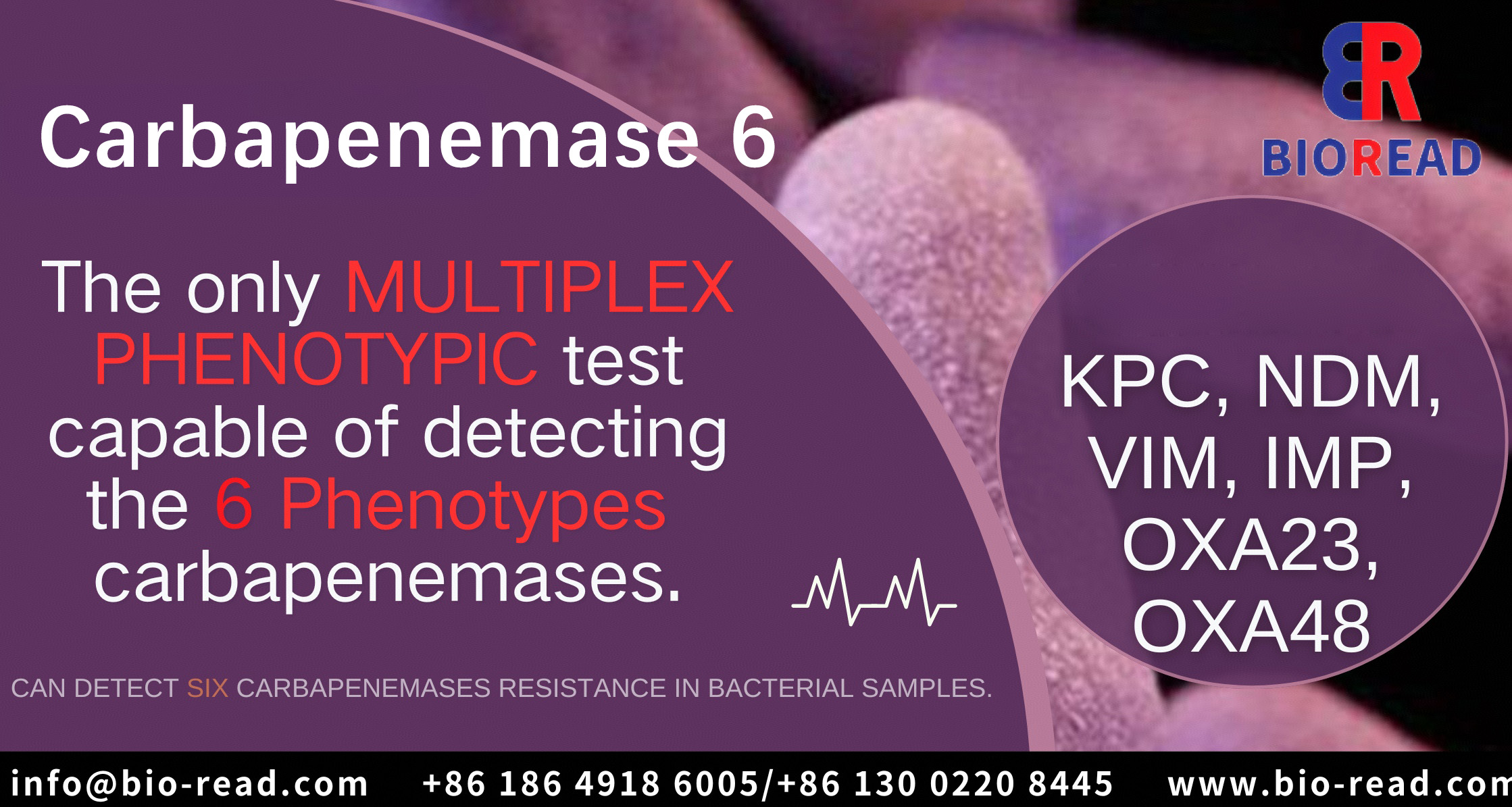 Carbapenemase 6 Rapid Test Cassette(KPC/NDM/VIM/IMP/OXA23/OXA48)
